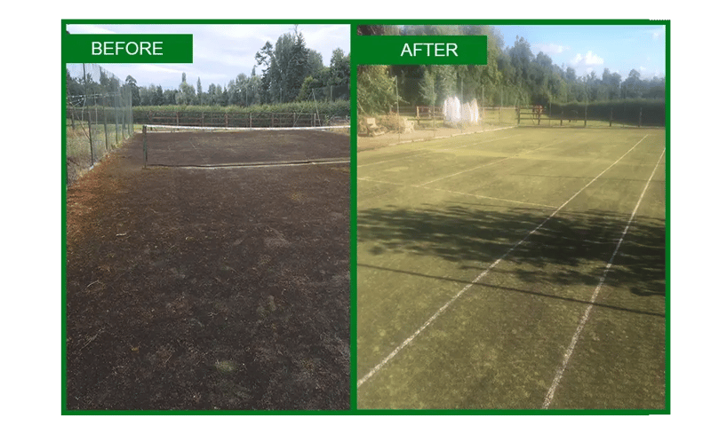 Algoclear-3-copy Algoclear-3-copy