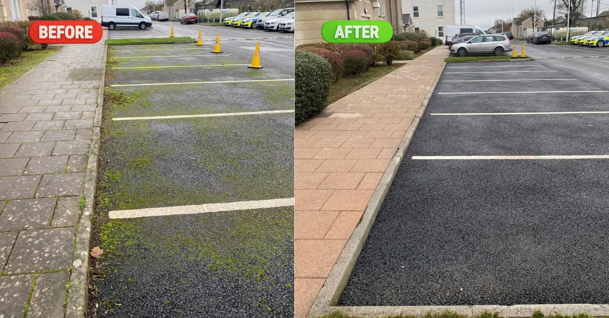 Moss control Moss control